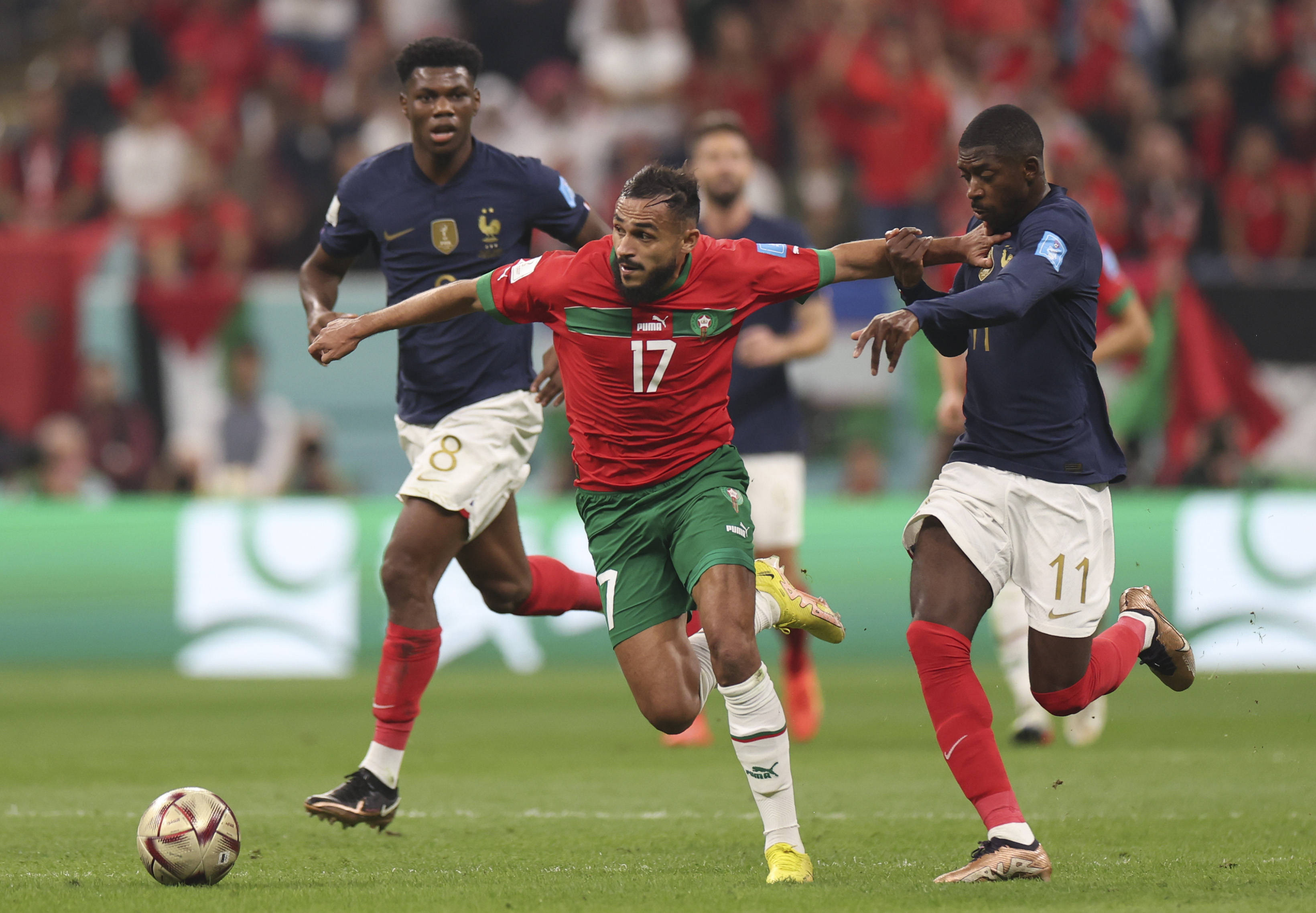 的有力争夺 的有力争夺